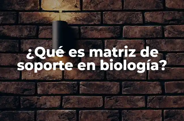 ¿qué es Matriz de Soporte en Biología?