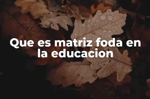 Que es Matriz Foda en la Educacion