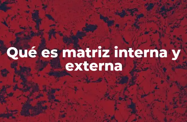 Qué es Matriz Interna y Externa