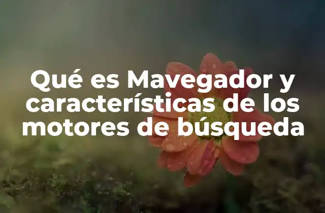 Qué es Mavegador y Características de los Motores de Búsqueda
