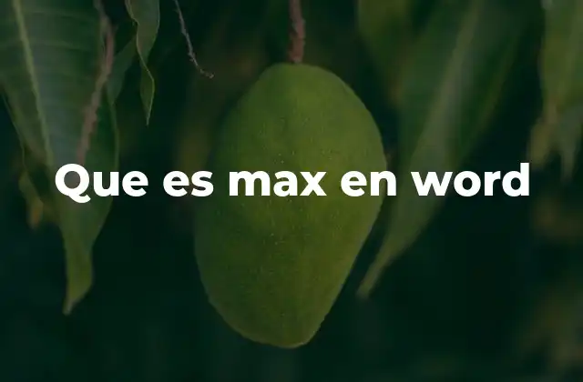 Que es Max en Word
