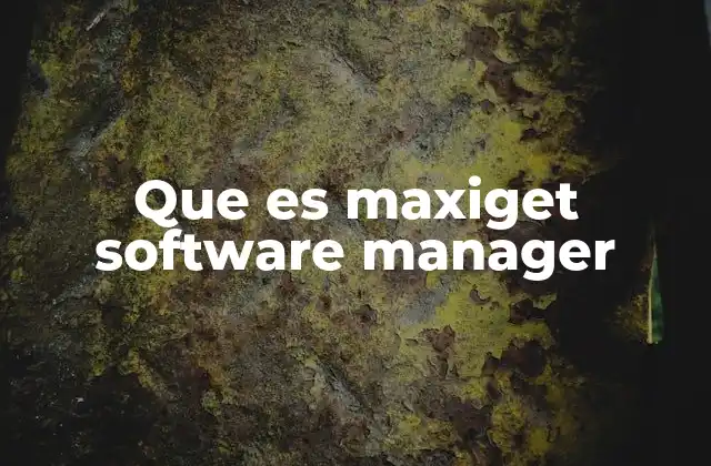 Que es Maxiget Software Manager