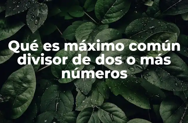Qué es Máximo Común Divisor de Dos o Más Números