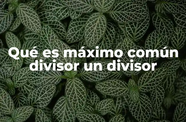 Qué es Máximo Común Divisor un Divisor