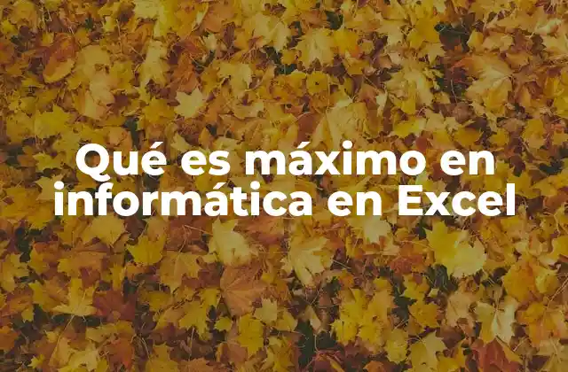 Qué es Máximo en Informática en Excel