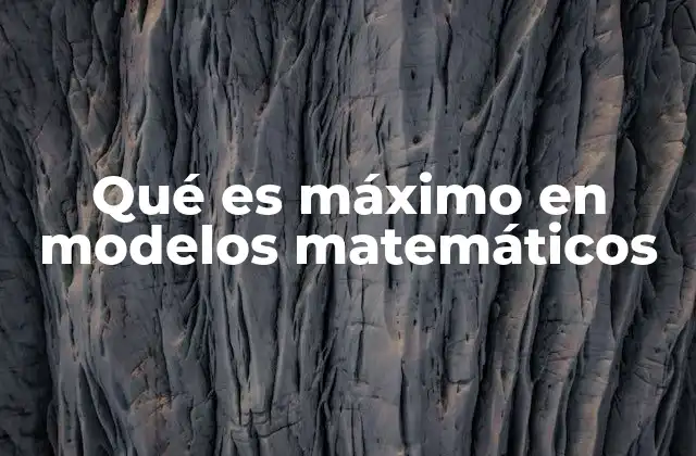 Qué es Máximo en Modelos Matemáticos