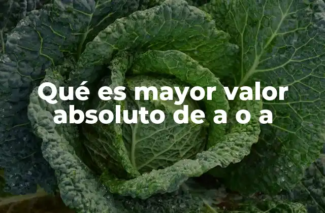 Qué es Mayor Valor Absoluto de a o a