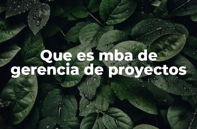 Que es Mba de Gerencia de Proyectos 2 El rol de la gestión de proyectos en el entorno empresarial