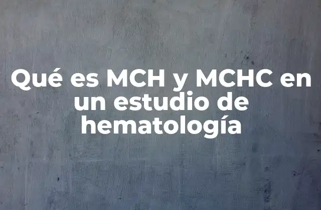 Qué es Mch y Mchc en un Estudio de Hematología