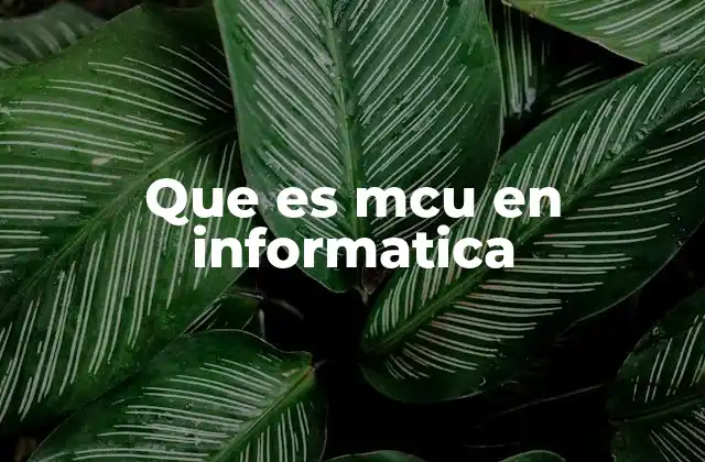 Que es Mcu en Informatica
