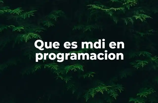 Que es Mdi en Programacion
