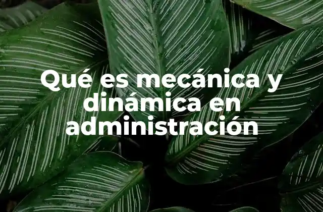 Qué es Mecánica y Dinámica en Administración