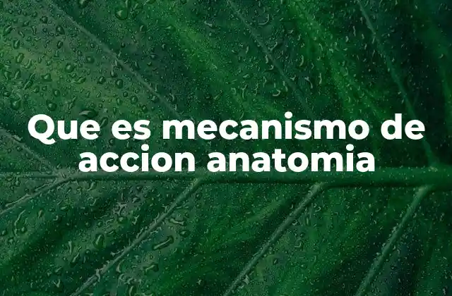 Que es Mecanismo de Accion Anatomia