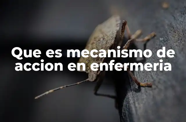 Que es Mecanismo de Accion en Enfermeria