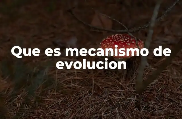 Que es Mecanismo de Evolucion