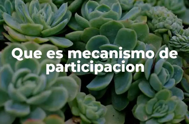 Que es Mecanismo de Participacion