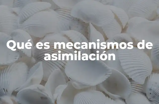 Qué es Mecanismos de Asimilación