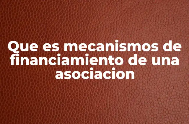 Que es Mecanismos de Financiamiento de una Asociacion