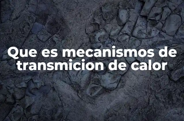Que es Mecanismos de Transmicion de Calor