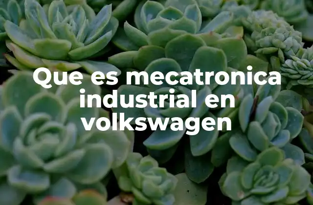 Que es Mecatronica Industrial en Volkswagen 2 La mecatrónica como motor de innovación en la fabricación automotriz