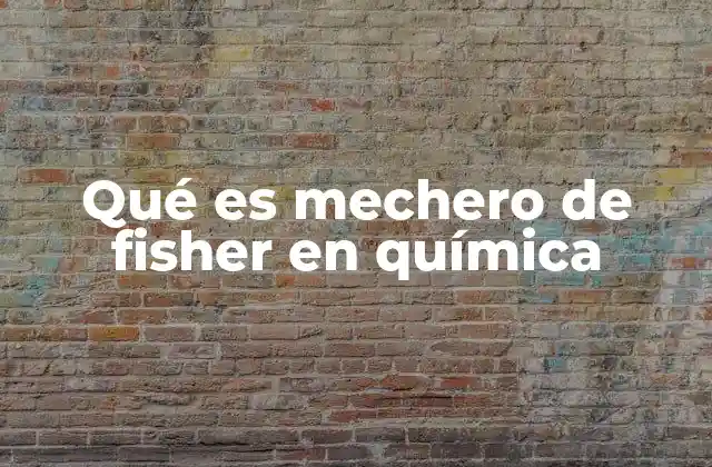 Qué es Mechero de Fisher en Química