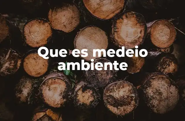 Que es Medeio Ambiente