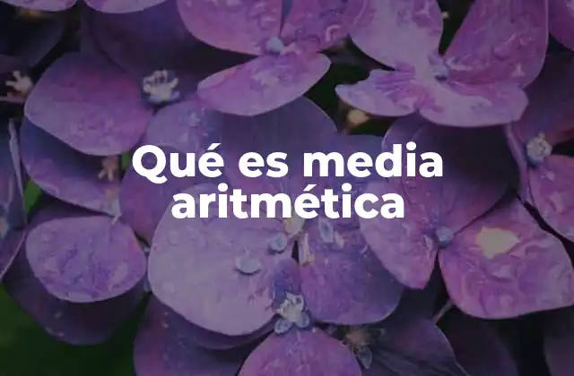 Qué es Media Aritmética