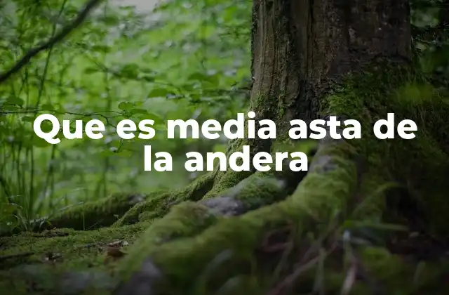 Que es Media Asta de la Andera