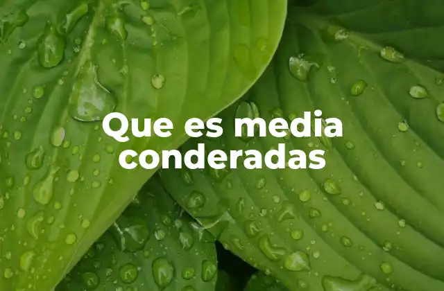 Que es Media Conderadas