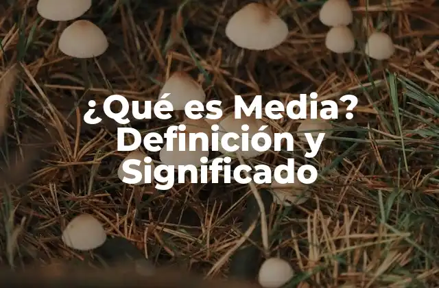 ¿qué es Media? Definición y Significado