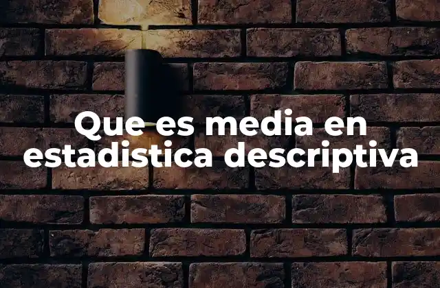 Que es Media en Estadistica Descriptiva