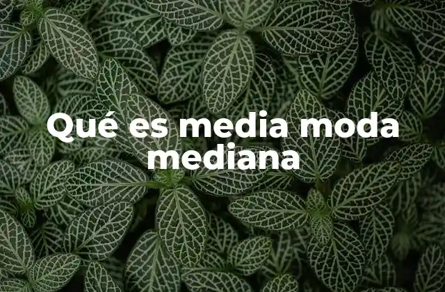 Qué es Media Moda Mediana