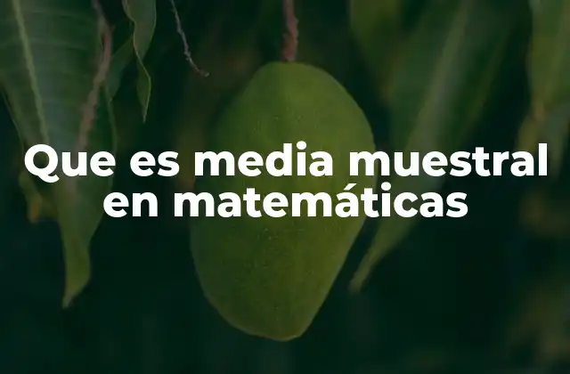 Que es Media Muestral en Matemáticas