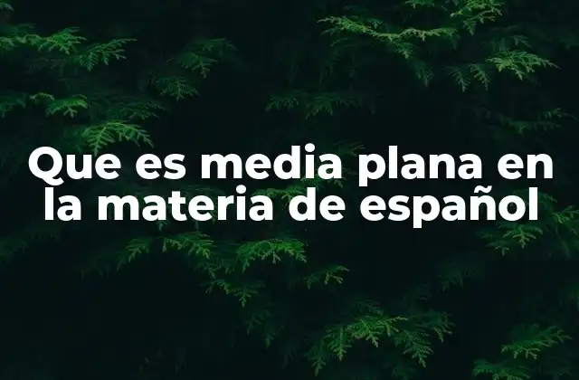Que es Media Plana en la Materia de Español
