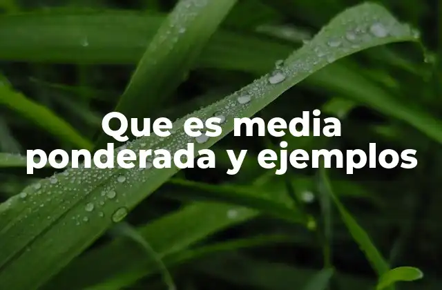 Que es Media Ponderada y Ejemplos
