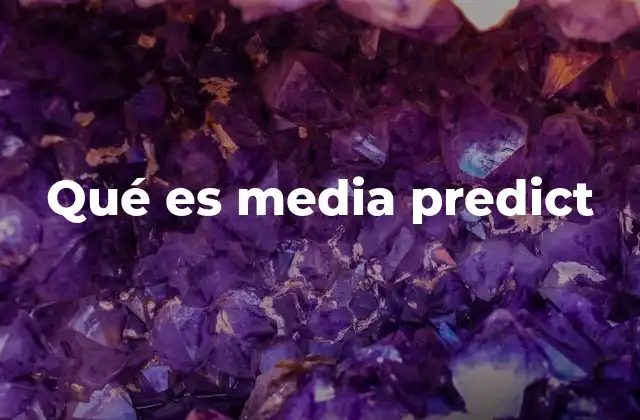 Qué es Media Predict