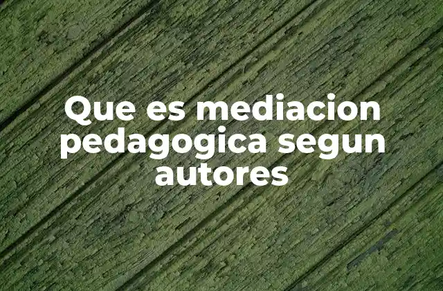 Que es Mediacion Pedagogica Segun Autores