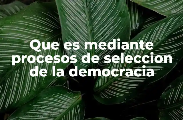 Que es mediante Procesos de Seleccion de la Democracia