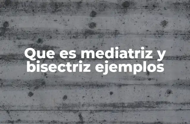 Que es Mediatriz y Bisectriz Ejemplos