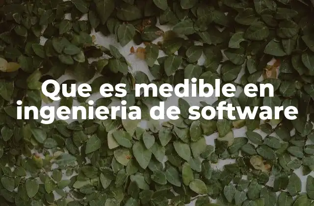 Que es Medible en Ingenieria de Software