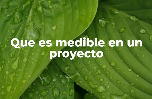 Que es Medible en un Proyecto