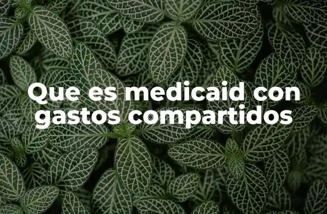 Que es Medicaid con Gastos Compartidos