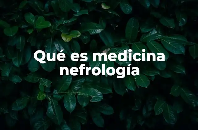 Qué es Medicina Nefrología