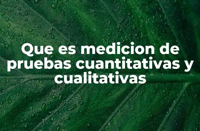 Que es Medicion de Pruebas Cuantitativas y Cualitativas 2 La importancia de comprender ambos tipos de medición en la investigación