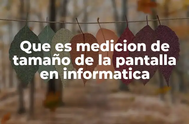 Que es Medicion de Tamaño de la Pantalla en Informatica
