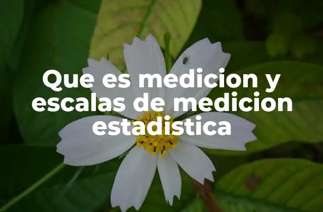 Que es Medicion y Escalas de Medicion Estadistica