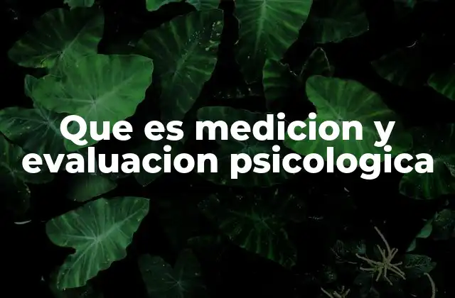 Que es Medicion y Evaluacion Psicologica