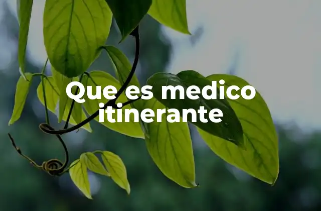 Que es Medico Itinerante