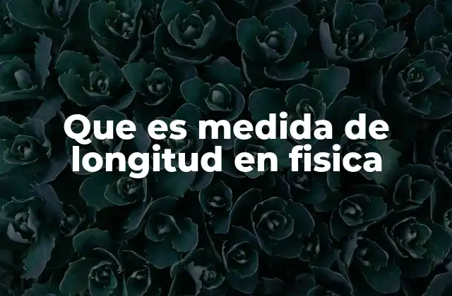 Que es Medida de Longitud en Fisica