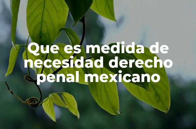 Que es Medida de Necesidad Derecho Penal Mexicano
